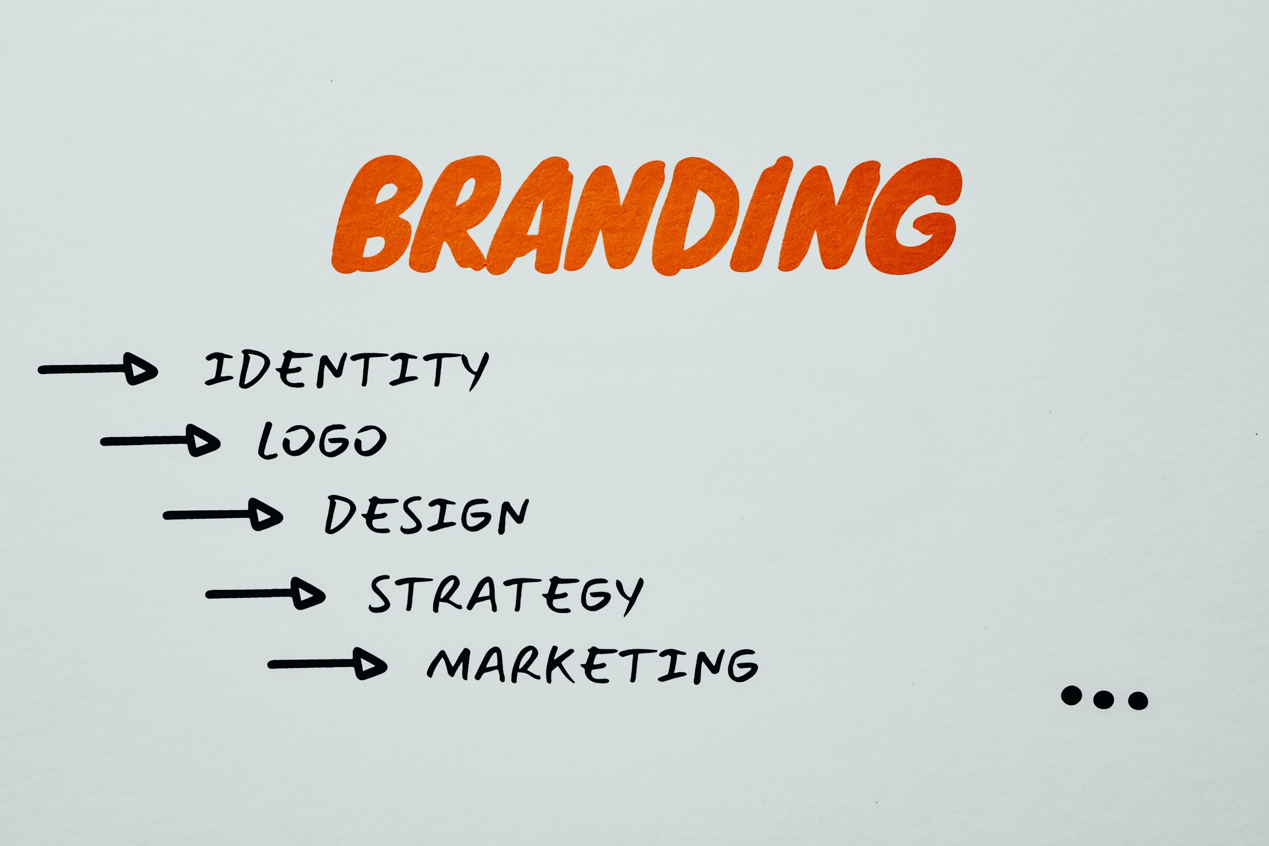 I cinque elementi che compongono la visual identity